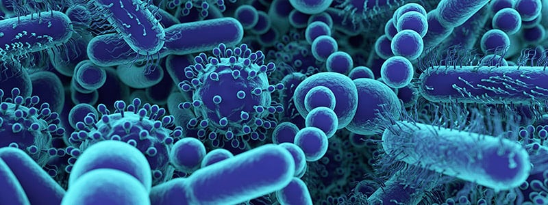  How You Can Fight Bacterial Contamination in Your Clinic