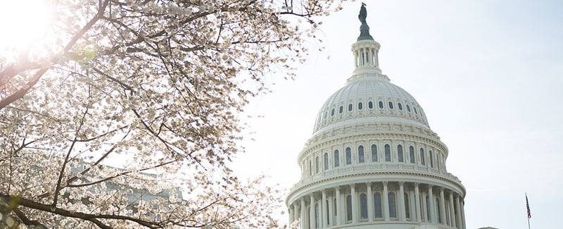 APTA Advocacy in Action: 2019 Wins, and What's on Our Radar for 2020