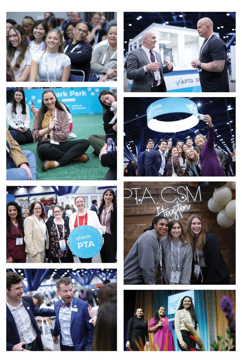 CSM Snapshot.png
