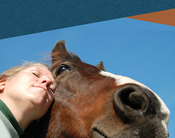 Feature Hippotherapy 01 Hippotherapy
