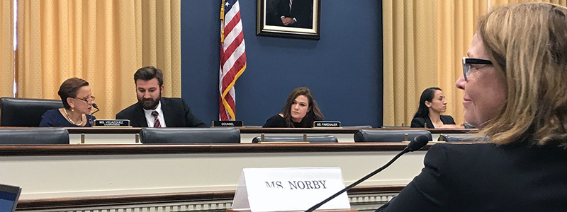 Student Loan Debt: Sandra Norby Testifies Before House Committee